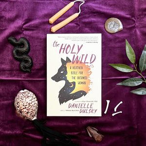The Holy Wild by Danielle Dulsky